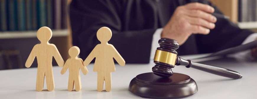 Child Custody Lawyer in Delhi
